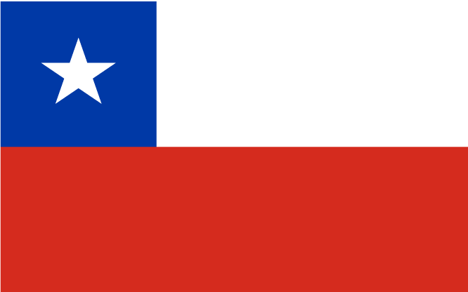 Chili Zuid-Afrika 2010 Wk Vlag