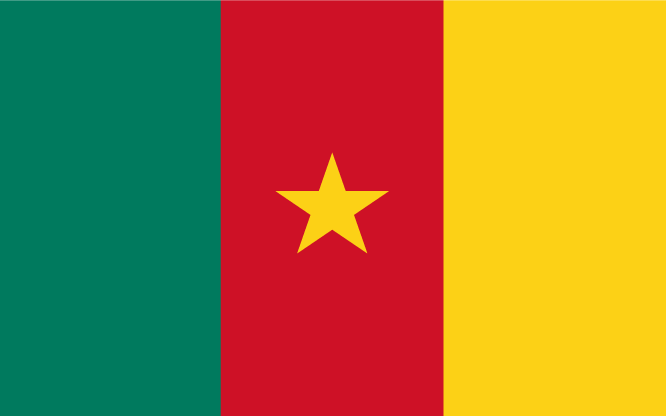 Kameroen Vlag WK 2010 Zuid-Afrika